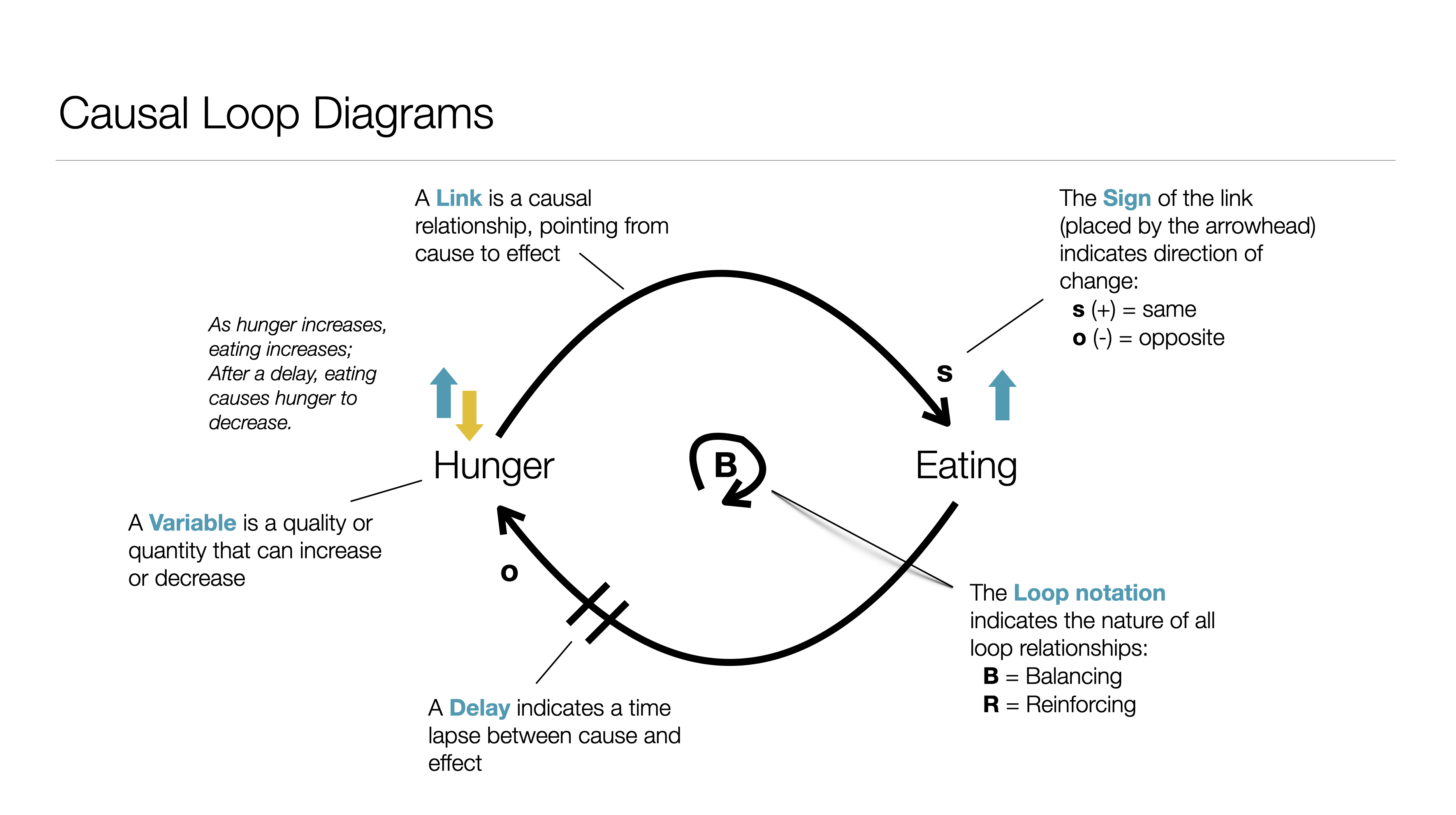 Causal Loop Diagrams.png